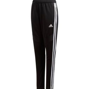 Adidas Training Pants